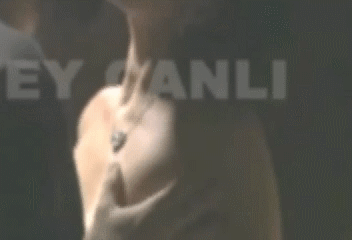 3BB23A1.gif