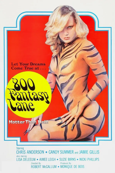 800 Fantasy Lane (1979) 20.png