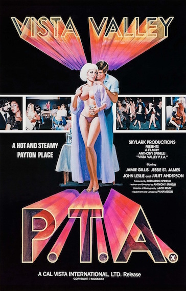 Vista Valley PTA (1981).jpg