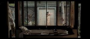 271640158_amants_1-1-9.jpg 271640158_amants_1-1-9.jpg