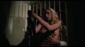 291882829_caged-heat-002.jpg 291882829_caged-heat-002.jpg