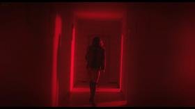 298358862_endless-night_1-1-17.jpg 298358862_endless-night_1-1-17.jpg