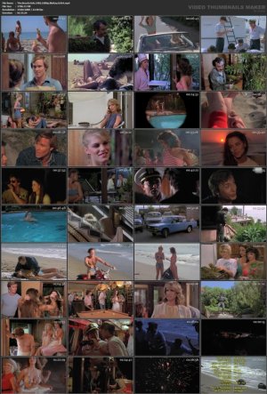 The.Beach.Girls.1982.1080p.BluRay.H264.mp4_l.jpg