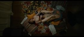 329643012_nightbird_1-1-4.jpg 329643012_nightbird_1-1-4.jpg