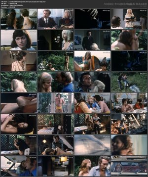 dchen-Report-6-1973-%28uncut%29-Upscale-720p.mp4_l.jpg