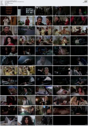 El-violador-infernal-1988-BluRay-1080p.mkv_l.jpg
