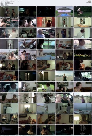 Hundstage.2001.BluRay.1080p.mkv_l.jpg