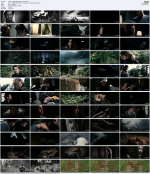 Antichrist.2009.1080p.BluRay.x265.10bit.mkv_l.jpg