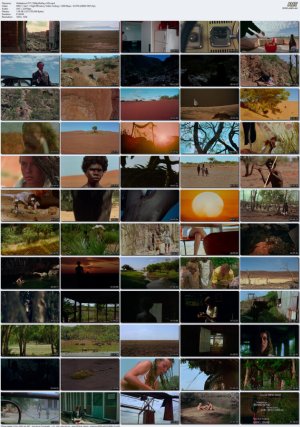 Walkabout.1971.1080p.BluRay.x265.mp4_l.jpg