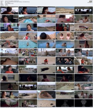 Twentynine.Palms.2003.Bluray.1080p.x265.mp4_l.jpg