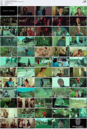 Young.Rebels.1989.1080p.WEB-DL.x264.mkv_l.jpg