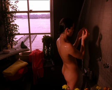 Neve Campbell- When Will I Be Loved (2004) shower scene.mkv 00:00:20.680.png