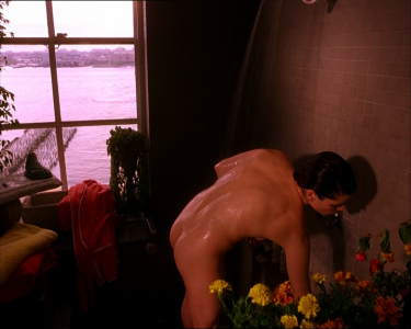 Neve Campbell- When Will I Be Loved (2004) shower scene.mkv 00:00:24.000.png