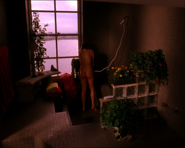 Neve Campbell- When Will I Be Loved (2004) shower scene.mkv 00:00:51.440.png