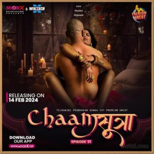 _chaam-sutra-2024-s01-uncut-hindi-web-series-moodx.jpg