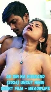 n-ka-husband-2024-uncut-hindi-short-film-meaowlife.jpg