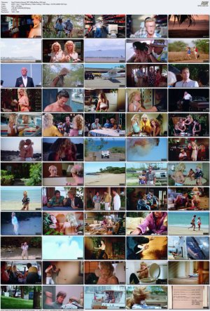 Hard.Ticket.to.Hawaii.1987.1080p.BluRay.x265.mp4_l.jpg