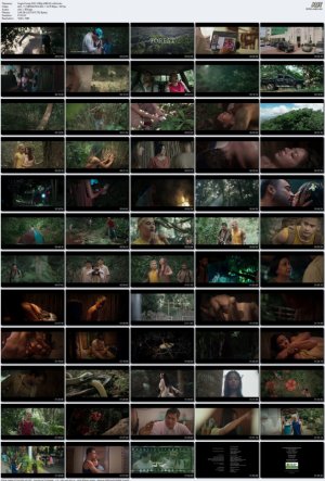 Virgin.Forest.2022.1080p.WEB-DL.x264.mkv_l.jpg