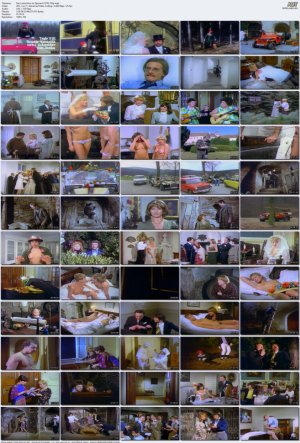 Das-Lustschloss-im-Spessart-%281978%29-720p.mp4_l.jpg