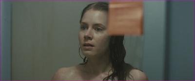 ly-blunt-sunshine-cleaning-2008-hd-1080p-image-1-6.jpg