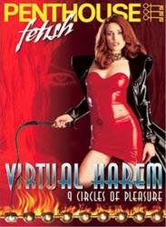 564314621_virtual-harem-2002.jpg