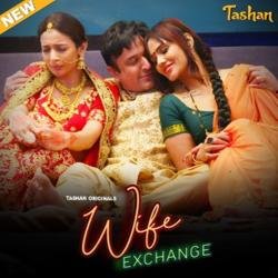 e-exchange-2025-s01-hot-hindi-web-series-tashanapp.jpg