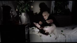 218792480_nosferatu-the-vampyre_1-1-6.jpg 218792480_nosferatu-the-vampyre_1-1-6.jpg