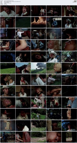 Hot.Spur.1968.1080p.BluRay.x265.mkv_l.jpg