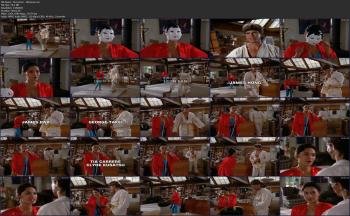 598575627_tia-carrere-macgyver-image-2.jpg