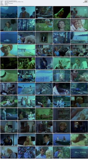 One-Swedish-Summer-1968-AI-1080p.mp4_l.jpg