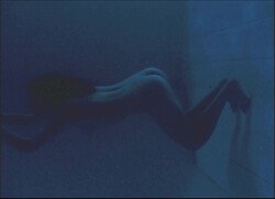 dscqf3dvvr3r.jpg