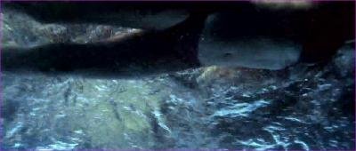 e-sobieski-the-glass-house-2001-hd-1080p-image-1-5.jpg