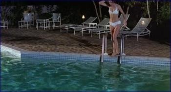 ndy-weintraub-the-prowler-1981-hd-1080p-image-1-14.jpg