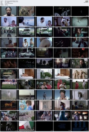 Battle.in.Heaven.2005.1080p.WEB-DL.x264.mkv_l.jpg
