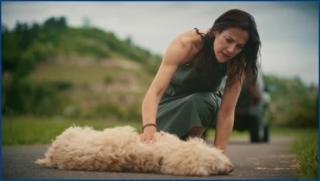 frauen-fur-alle-felle-s01e01-2025-hd-1080p-image-1.jpg