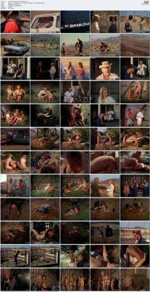 Southern-Comforts-1971-AI-1080p.mp4_l.jpg