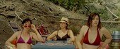 ntwjh6fur549.jpg