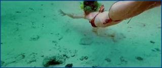 -aleisha-rose-stranded-pearl-2024-hd-1080p-image-1.jpg