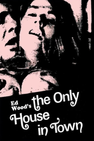 The Only House in Town10.png