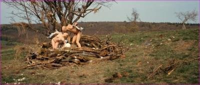 1509_maja-kovac-love-birds-2010-hd-1080p-image-1-2.jpg