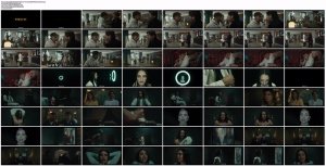 y9zd5277_t.jpg y9zd5277_t.jpg