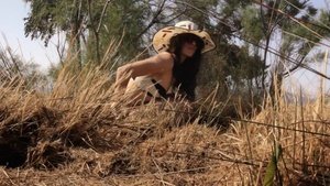 ME1BW4X4_t.jpg ME1BW4X4_t.jpg