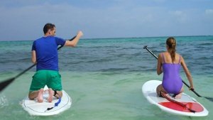 ME1BWXV8_t.jpg ME1BWXV8_t.jpg