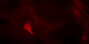 ME1BWY4A_t.jpg ME1BWY4A_t.jpg