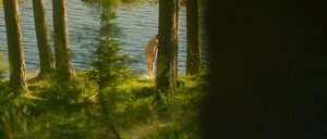 ME1BXC2A_t.jpg ME1BXC2A_t.jpg