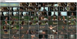 kmvdrsVG_t.jpg kmvdrsVG_t.jpg