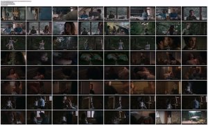 xf5am1xZ_t.jpg xf5am1xZ_t.jpg