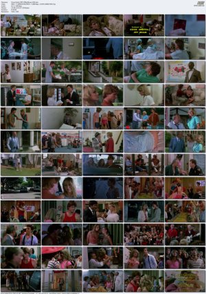 School.Spirit.1985.1080p.Bluray.X265.mkv_l.jpg School.Spirit.1985.1080p.Bluray.X265.mkv_l.jpg