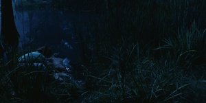 ME1C3HVS_t.jpg ME1C3HVS_t.jpg