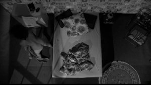 edRsVaOu_t.jpg edRsVaOu_t.jpg